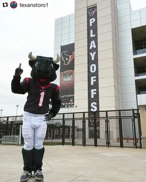Image post by @housuperbowl on Instagram