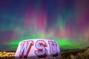 Image post by @wsupullman on Instagram