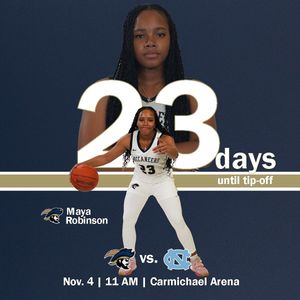 Image post by @csubucswbb on Instagram