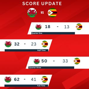 Image post by @walesnetball_ on Instagram