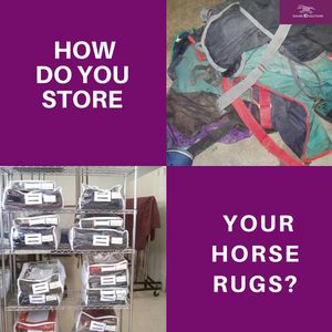 Image post by @equineidsolutions on Instagram
