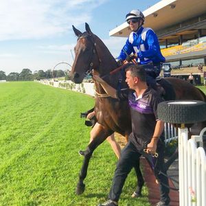 Image post by @australianturfclub on Instagram