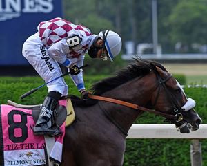Image post by @thebloodhorse on Instagram