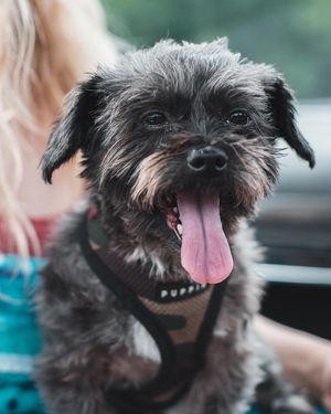 Image post by @tamanephotography on Instagram