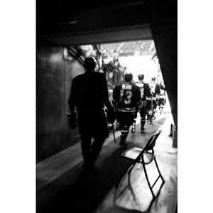 Image post by @swamprabbits on Instagram