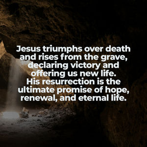 Image post by @southeastccparker on Instagram