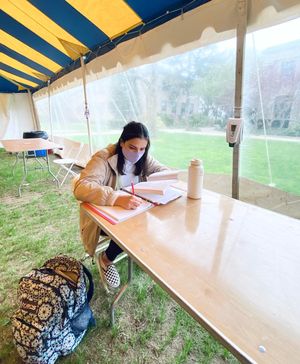 Image post by @hofstrau on Instagram