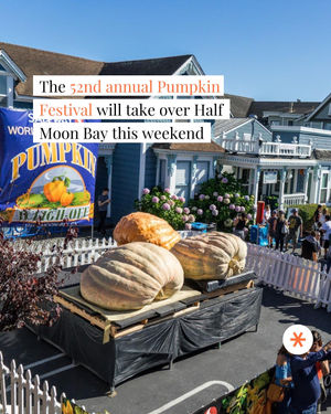 Image post by @secret_sanfrancisco on Instagram