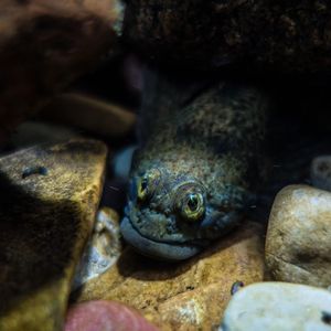 Image post by @nationalparkservice on Instagram