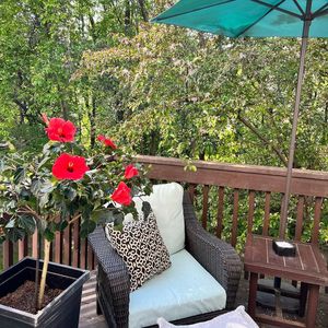 Image post by @LifesaDiscoBall on Facebook