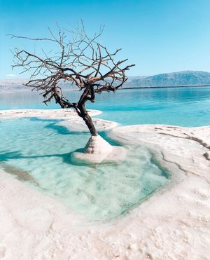 Image post by @birthrightisrael on Instagram