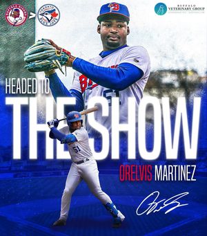 Image post by @buffalobisons on Instagram
