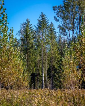 Image post by @cristan.nature.photography on Instagram