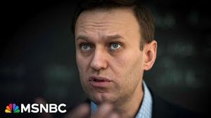 Video post by @msnbc on YouTube