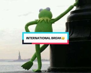 Video post by @atleticodemadrid on TikTok