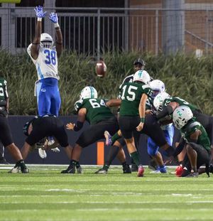 Image post by @aldinemustangfb on Instagram
