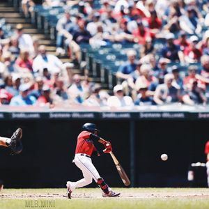 Image post by @mlb.mini on Instagram