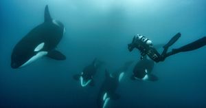 Image post by @reddigitalcinema on Instagram