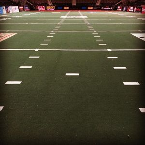 Image post by @jaxsharks on Instagram