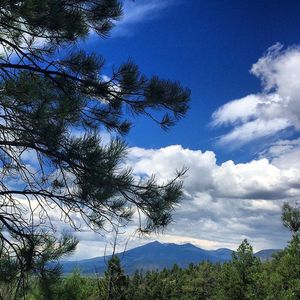 Image post by @nauflagstaff on Instagram