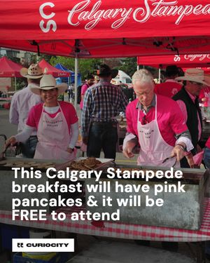 Image post by @curiocitycalgary on Instagram