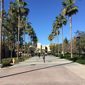 Image post by @asicsuf on Instagram