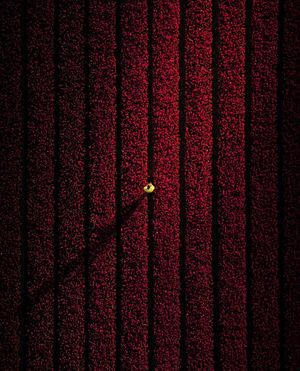 Image post by @dronepals on Instagram