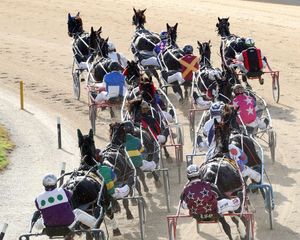 Image post by @NZHorseAmbulanceTrust on Facebook