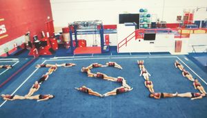 Image post by @cyclonegym on Instagram