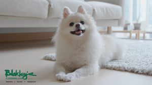 Video post by @BlakleysFlooring on Facebook