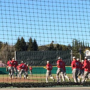 Image post by @csunbaseball on Instagram