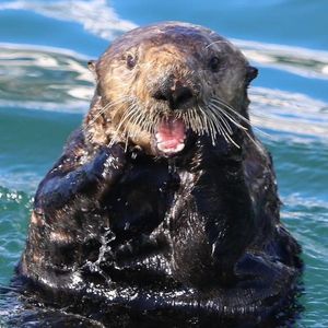 Image post by @nationalparkservice on Instagram