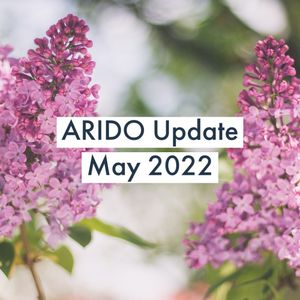 Image post by @aridontario on Instagram