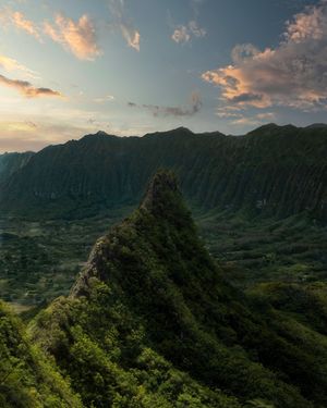 Image post by @olukai on Instagram