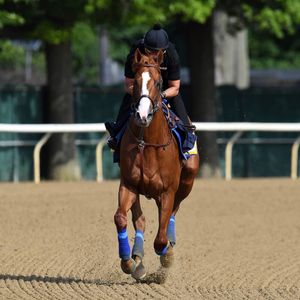 Image post by @thebloodhorse on Instagram