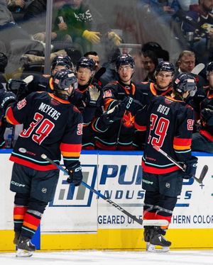 Image post by @firebirds on Instagram