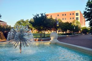 Image post by @officialsouthernmiss on Instagram