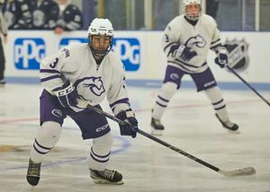 Image post by @usphlhockey on Instagram