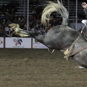 Image post by @ellensburgrodeo on Instagram
