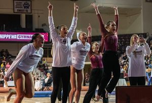 Image post by @centralmichiganlife on Instagram