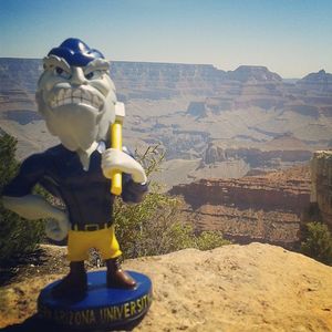 Image post by @nauflagstaff on Instagram
