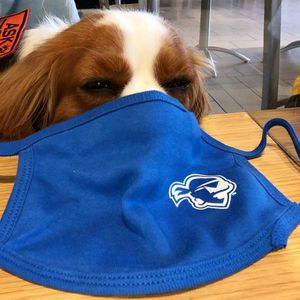 Image post by @setonhall on Instagram
