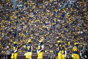 Image post by @maizebluenation on Instagram