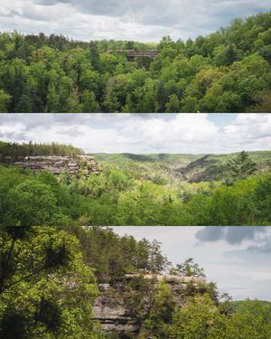 Image post by @matt.jwood on Instagram