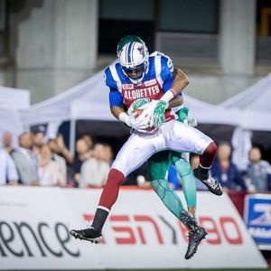 Image post by @mtlalouettes on Instagram