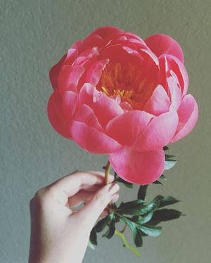Image post by @thebloombartx on Instagram