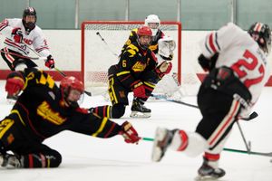 Image post by @rob.raymer on Instagram