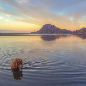 Image post by @kombilifeadventures on Instagram