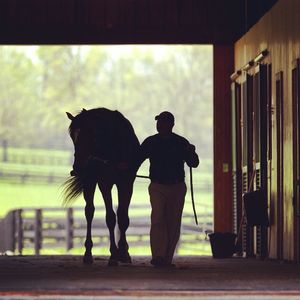 Image post by @spendthriftfarm on Instagram