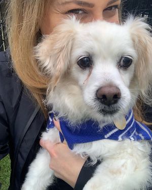 Image post by @warm1069 on Instagram